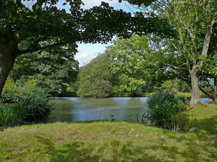 a lake surrounded by trees in the middle of grass