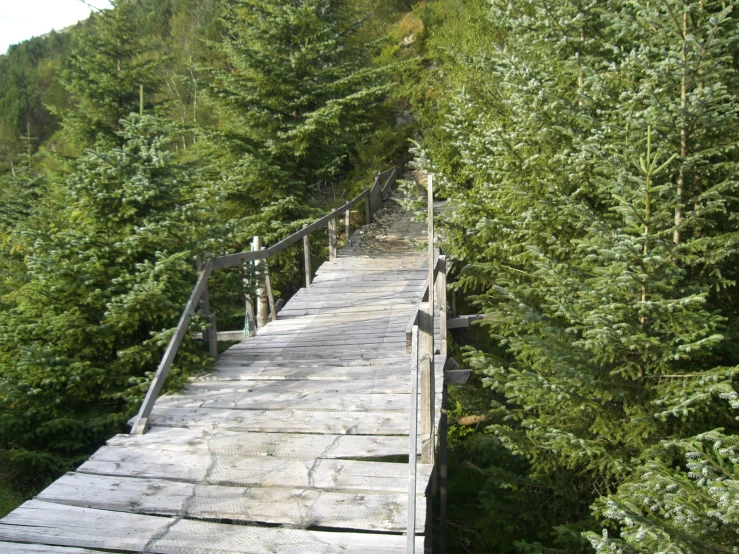 a wooden bridge crossing over some water surrounded by lush trees