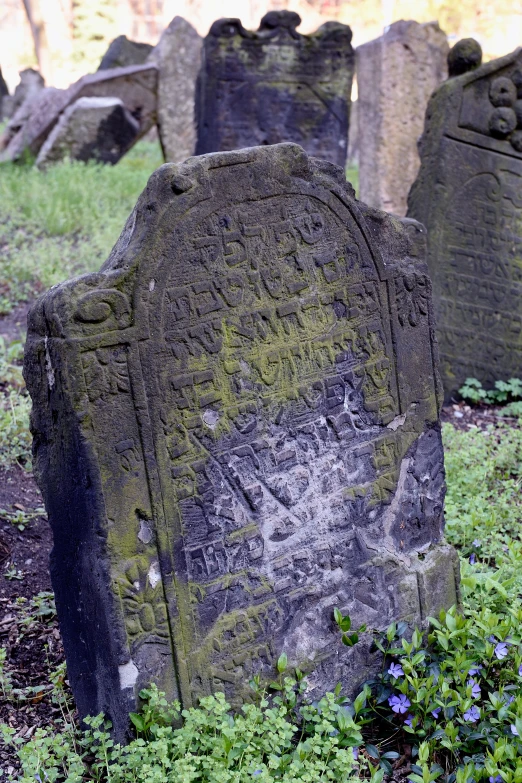 a close up view of an old, green tombstone