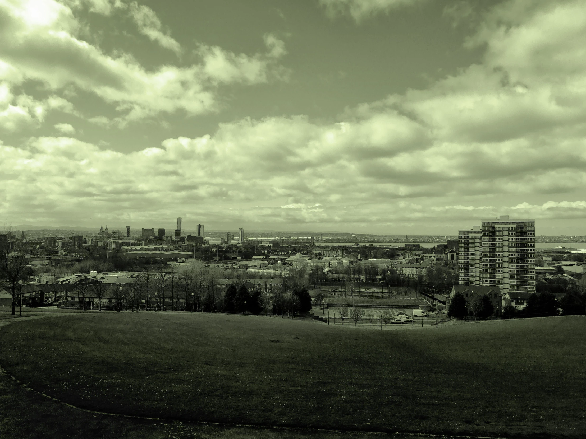 a black and white po of the city skyline with a park on the far side