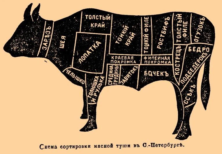 a butcher diagram of a cow