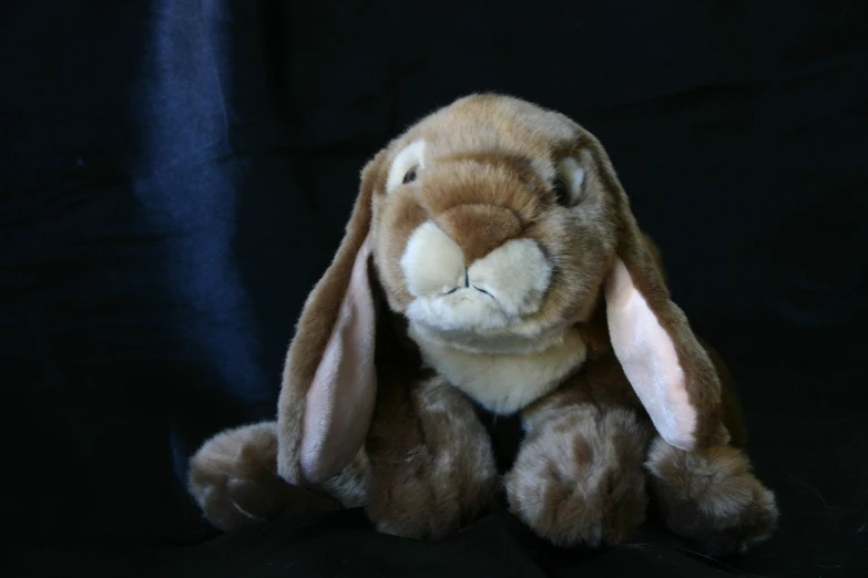 a stuffed bunny is on a black background