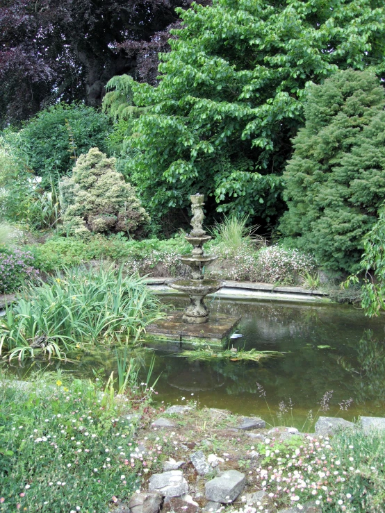 a garden with flowers and small pond surrounded by trees