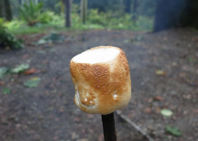 bread on a stick with a weird face drawn on it