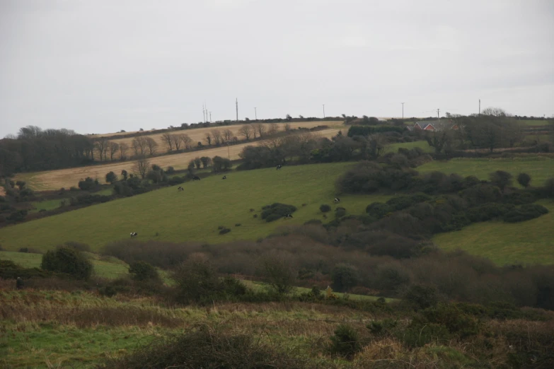 a farm with a hill covered in trees and grass