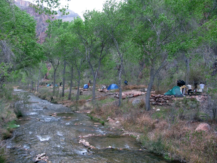 a group of people camping in the woods by a river