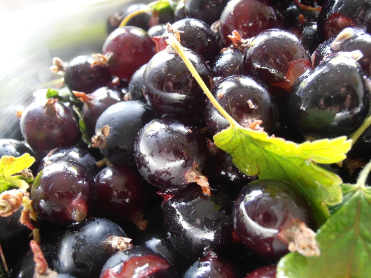 this black berry is sitting on the top of a table