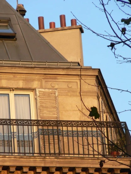 bird on balcony with windows and roof in evening sunlight