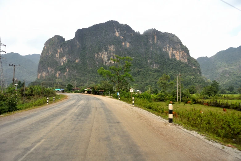 mountain side road with trees on both sides