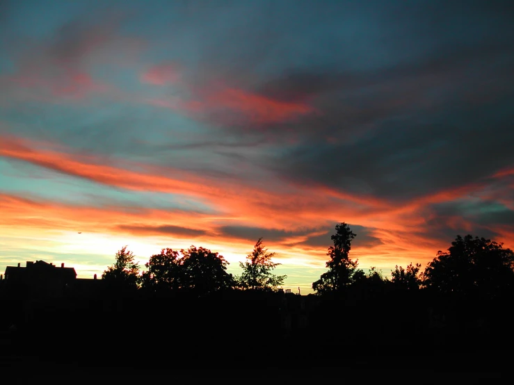 the sky above the trees is filled with dark clouds