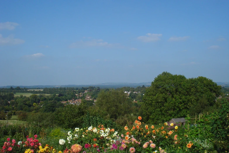 view from high up above some flowers in the foreground