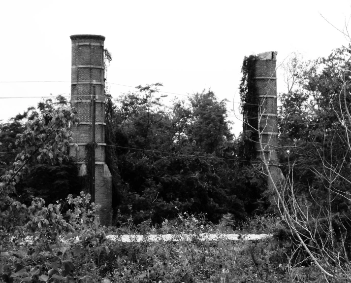 the tower of two chimneys is shown on a grey day