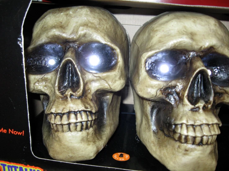 a pair of fake skulls in the packaging