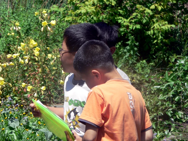 two children looking at yellow flowers in a garden