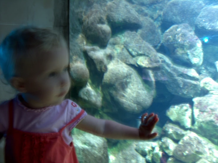 a little girl in a pink dress is looking at some fish in an aquarium