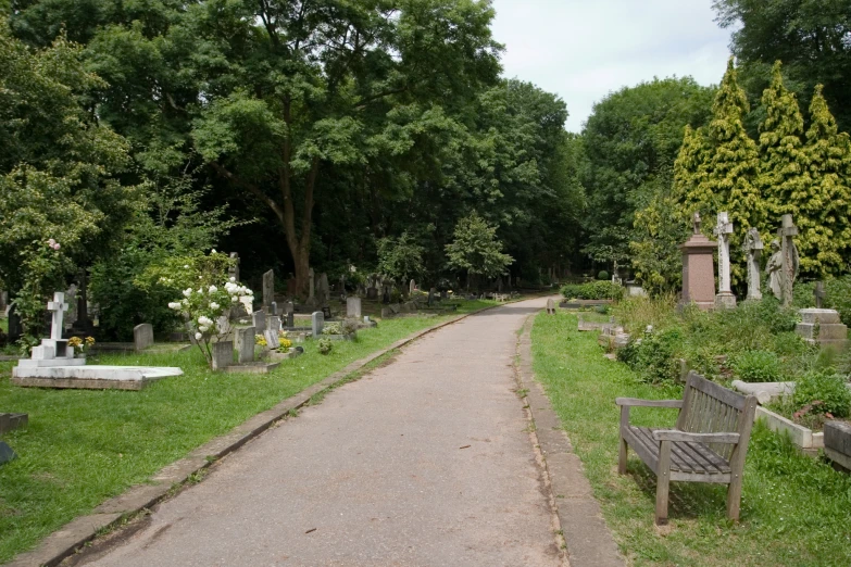 a pathway in an overgrown cemetery with trees