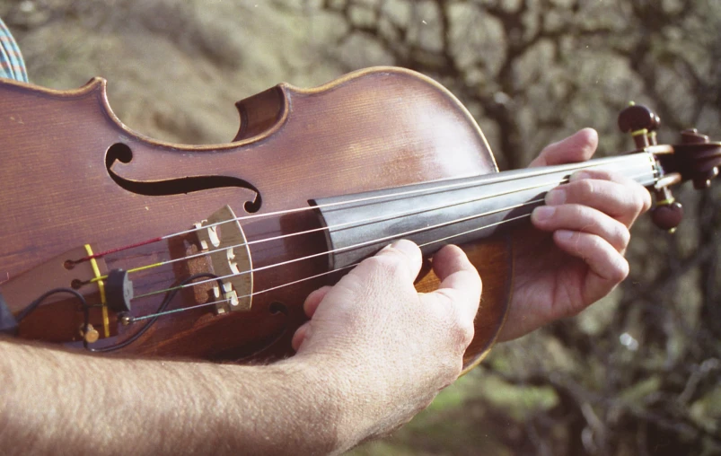 someone is playing a violin near a tree