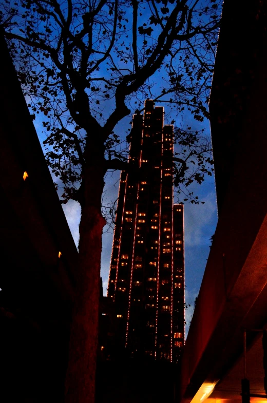 a building at night with lights and trees near by