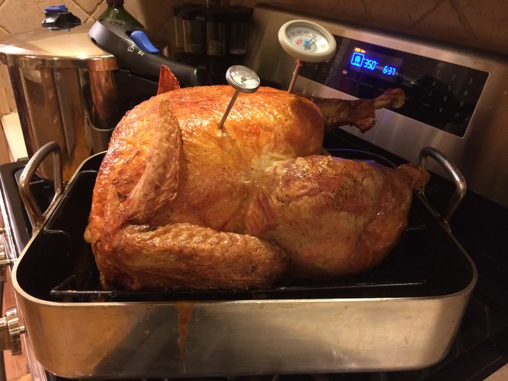 a turkey in a roasting pan with the oven burners