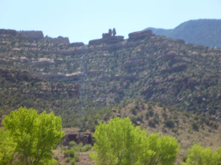 people are sitting on a cliff above green trees