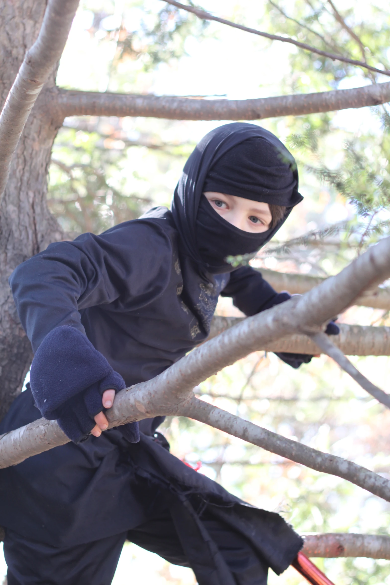 a child with a black hood is perched up on a tree