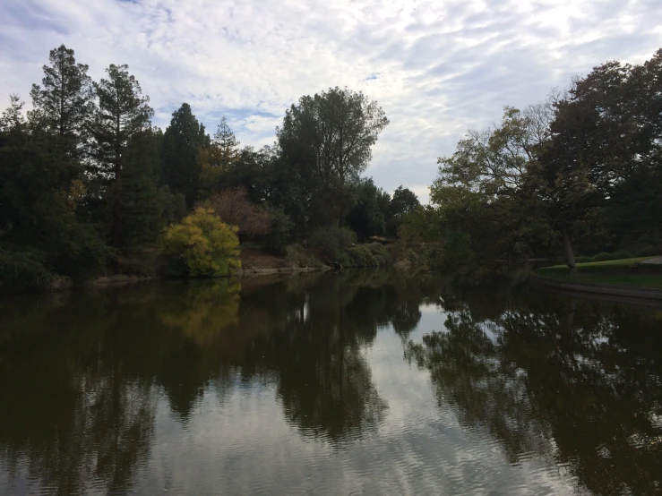 a body of water surrounded by forest on a cloudy day