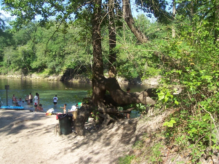 a group of people stand around on the bank of a river