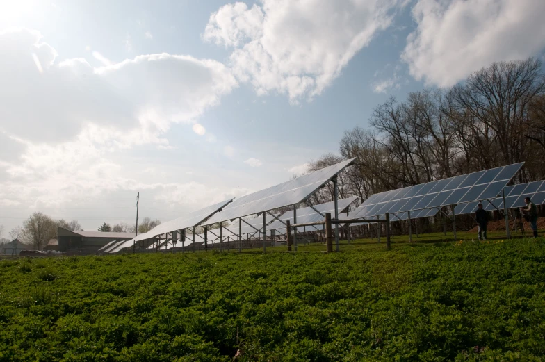 two solar panels on a farm field