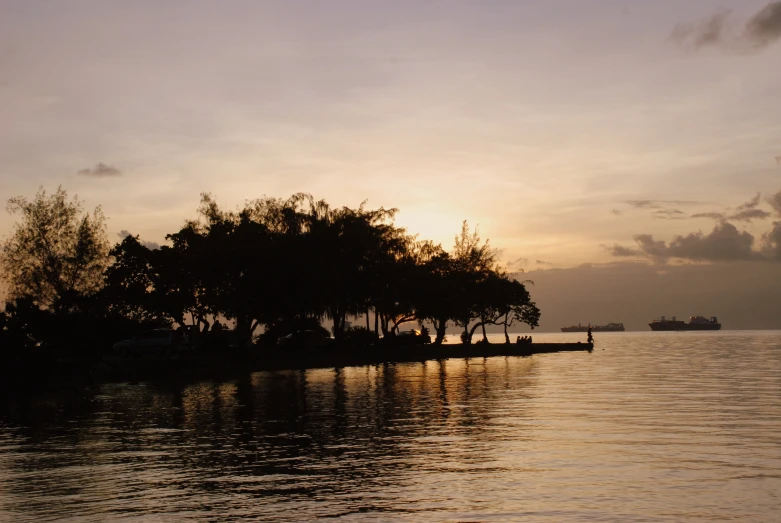 a body of water with trees in the background