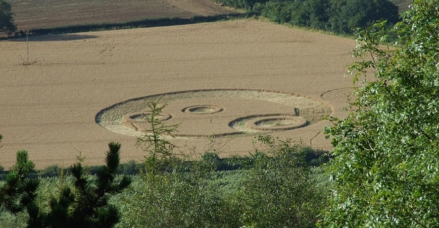there is a face in the middle of a large circular design