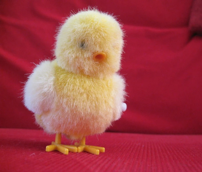 a small yellow chicken on a red background