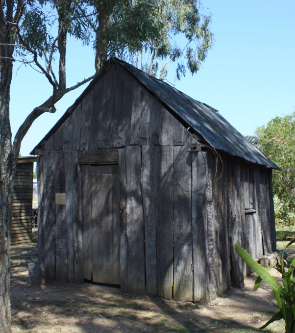 the old shack is standing alone near a tree