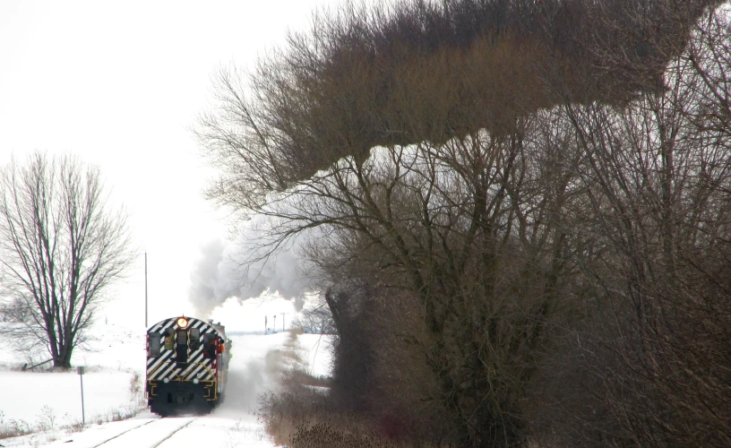 a train traveling down tracks through the woods