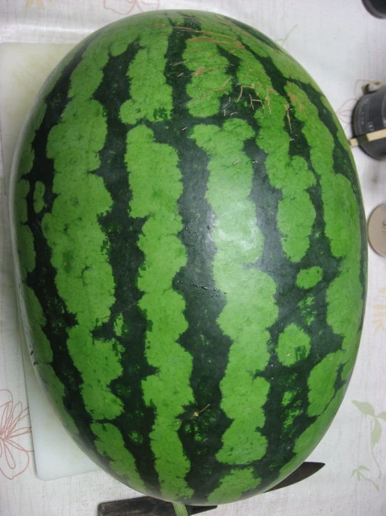 an overripe watermelon displayed in a kitchen