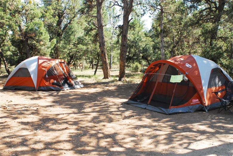 tents set up next to each other near some trees