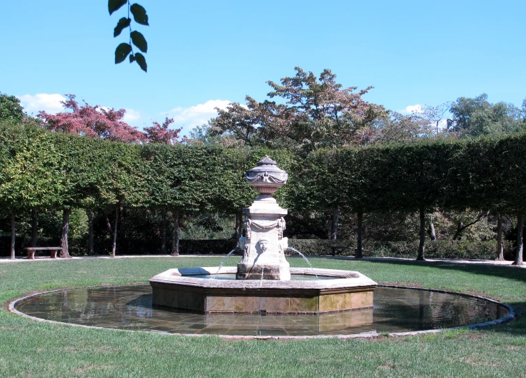 a fountain with some water in the middle of a lush green field