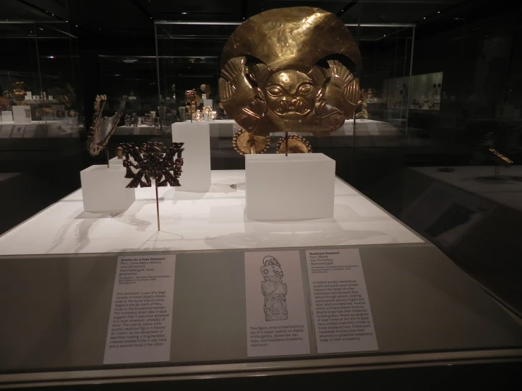 an exhibit in a glass case contains statues of human head, arms and torsos
