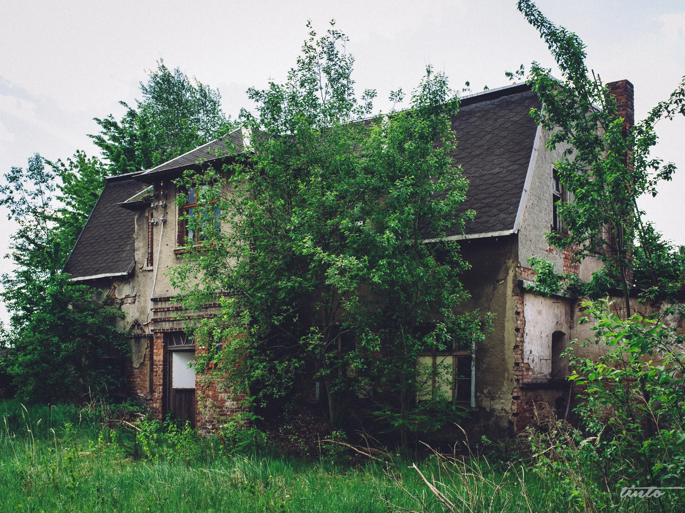 an old house that has overgrown trees surrounding it