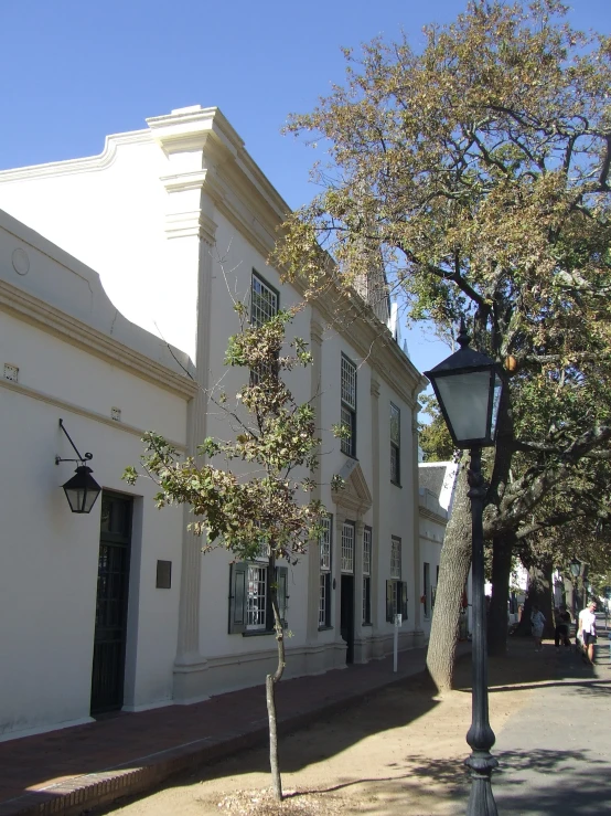 a street lamp sits near a tree on the side of a street