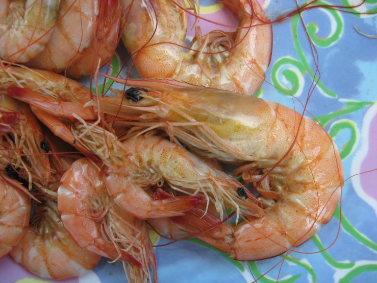 several large, cooked shrimp are displayed on a colorful fabric