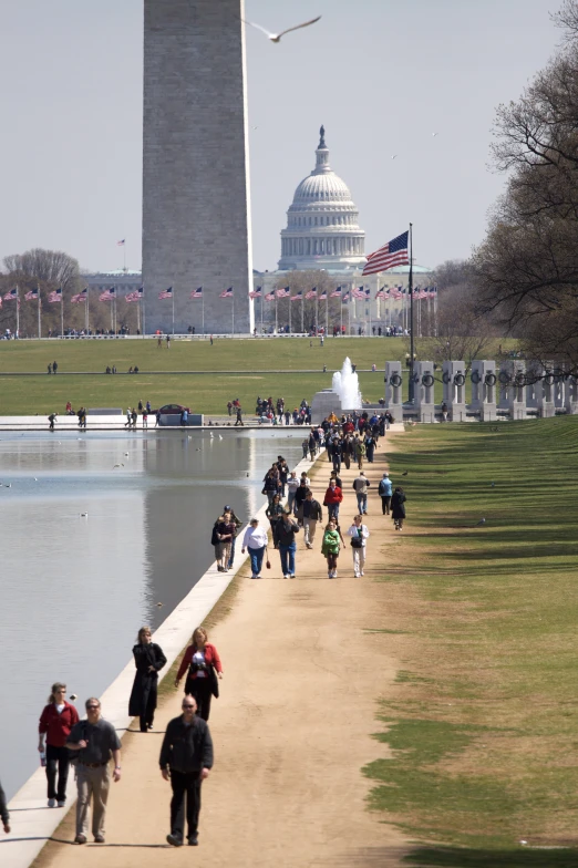 a bunch of people are walking on a shoreline