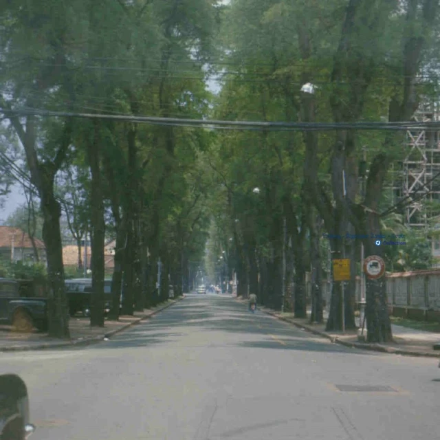 a street with lots of trees on both sides and people standing on the other side