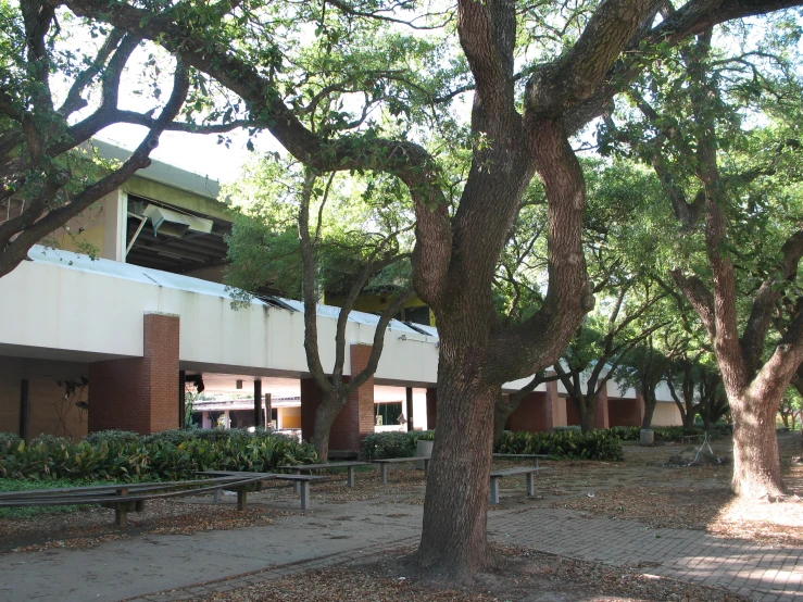 several trees in front of building that has a long row of windows