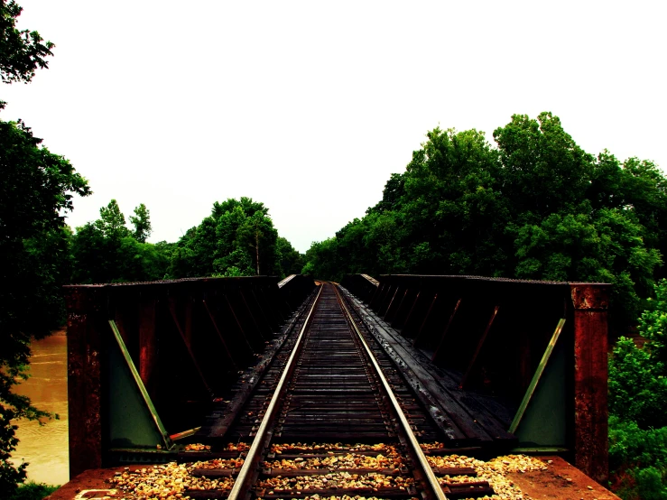 an old abandoned train trestle sits open on one side and overgrown trees on the other