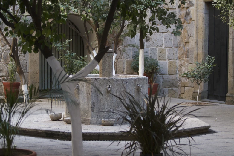 a courtyard has a fountain and plants outside