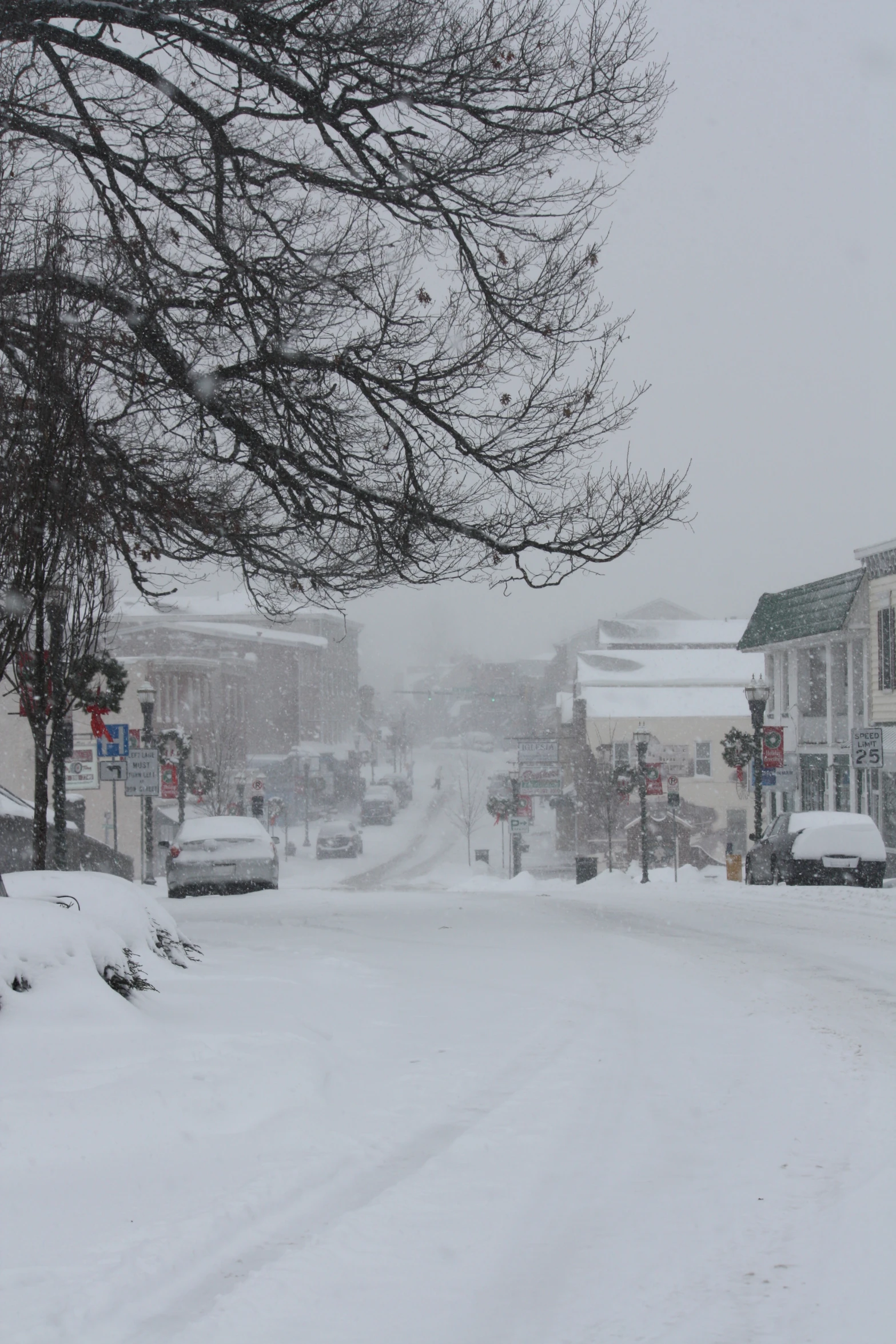 a snowy street is lined with buildings and trees