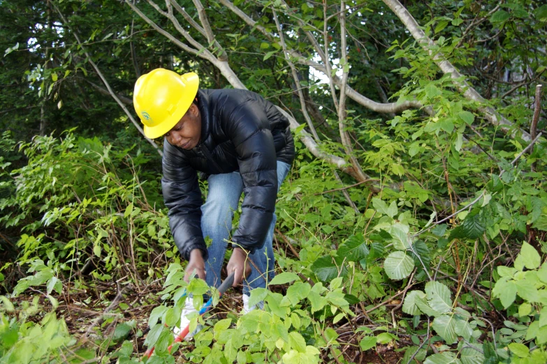 a man wearing a yellow hardhat in the bushes