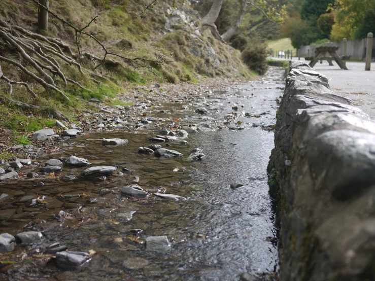 a small creek is next to the side of a road