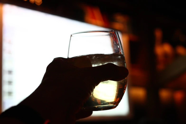 a person holding up a wine glass to show the light