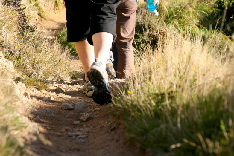 a couple of people walk on a path